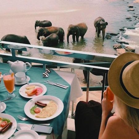 Hotel Elephant Park - New Deal! Half Off Airport Pickups Available Пинавала Екстериор снимка