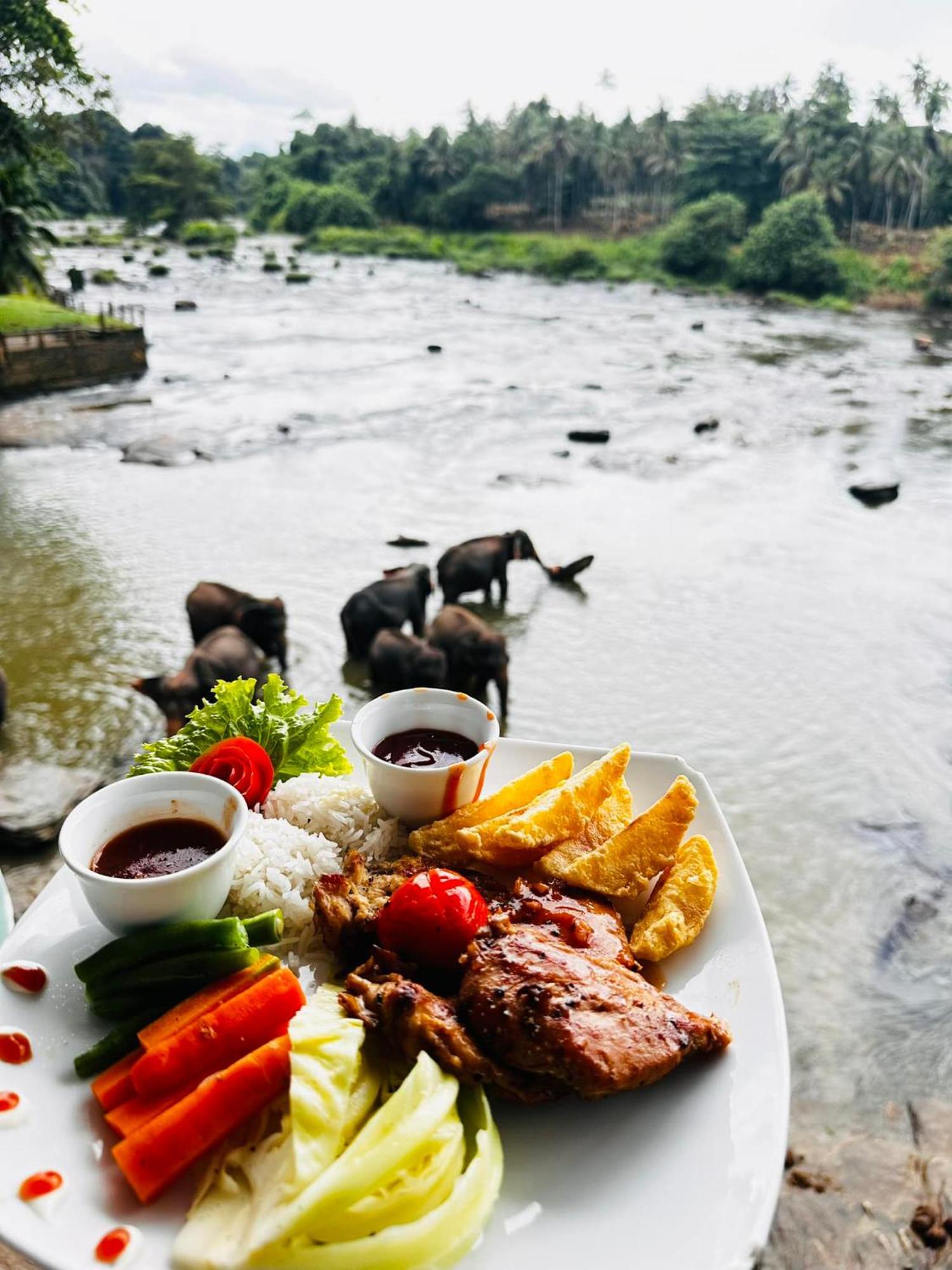 Hotel Elephant Park "Grand Royal Pinnalanda" Пинавала Екстериор снимка