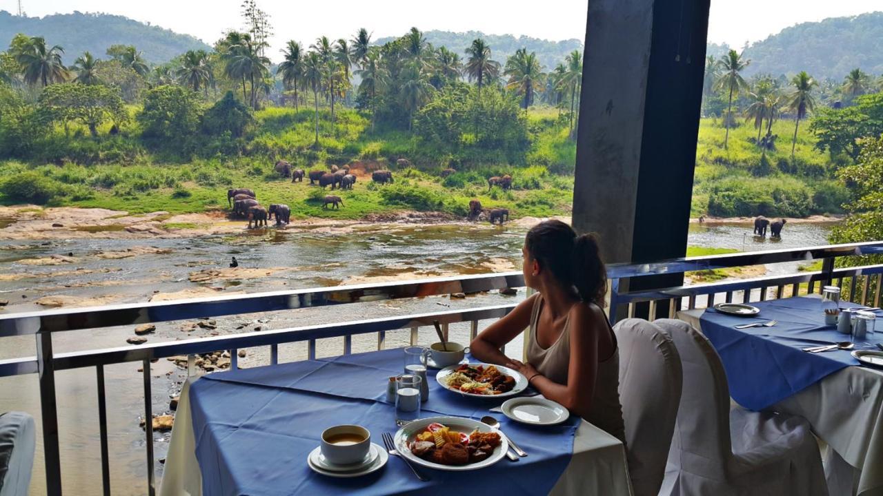Hotel Elephant Park "Grand Royal Pinnalanda" Пинавала Екстериор снимка