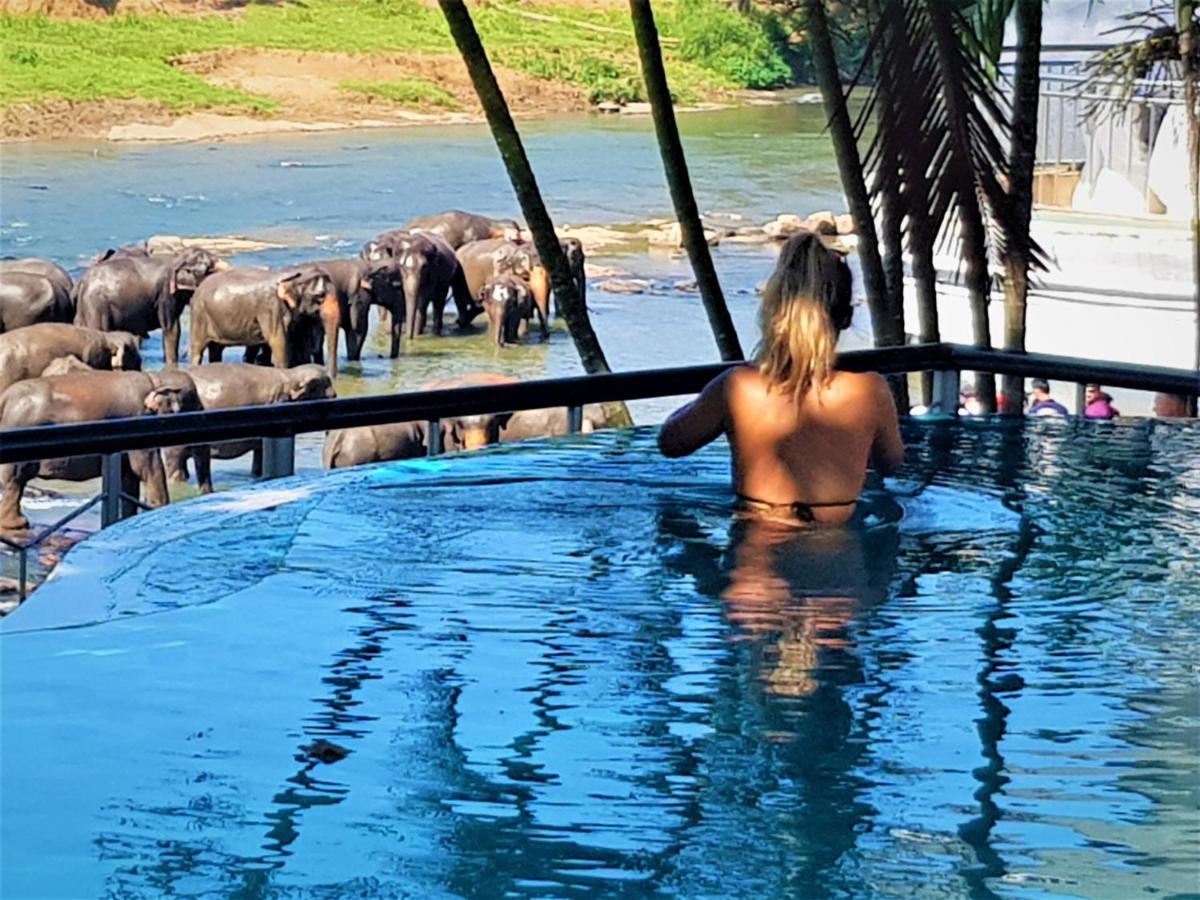 Hotel Elephant Park - New Deal! Half Off Airport Pickups Available Пинавала Екстериор снимка
